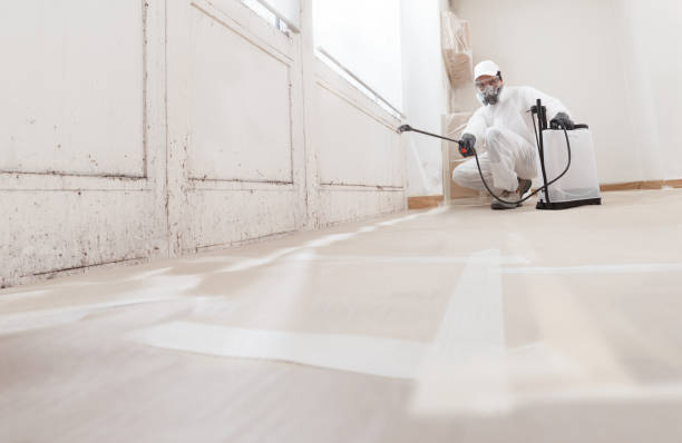 Trusted Attic Mold Removal service in Horntown, VA - WQB Mold Removal