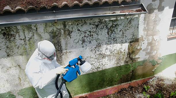 Top rated local Attic Mold Removal specialists in Horntown, VA